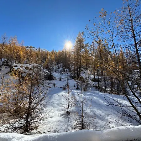 La Casa Sul Bosco * Breuil-Cervinia