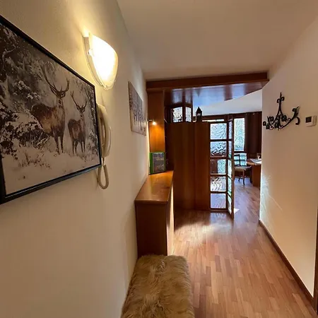 La Casa Sul Bosco Appartement
