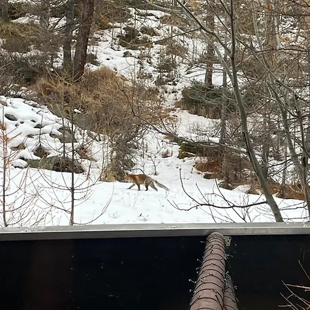La Casa Sul Bosco Breuil-Cervinia