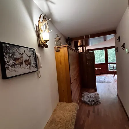 La Casa Sul Bosco Lägenhet