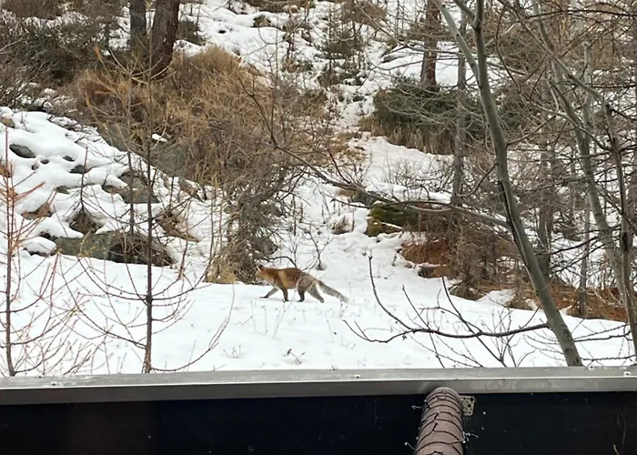 La Casa Sul Bosco ブレウイル・チェルヴィナイア